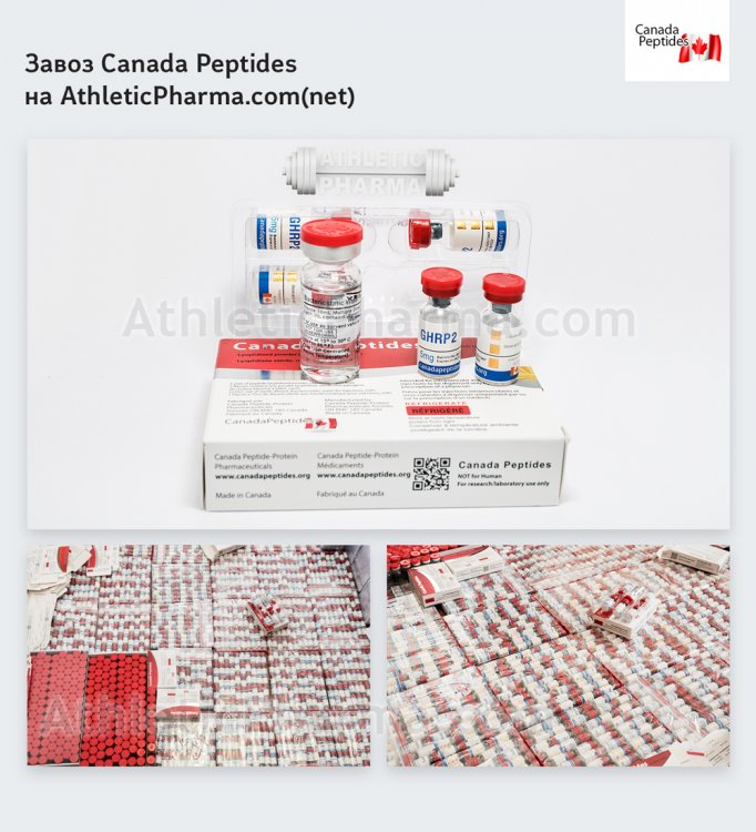 Пептиды из Канады (Canada Peptides)